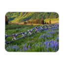 Search for railing magnets Flower