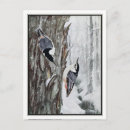 Search for blizzard postcards Nature