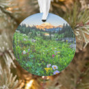 Search for mt rainier christmas tree decorations Snowcapped mountain