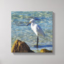 Search for egrets canvas prints Tropical