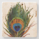 Search for peacock feather coasters Illustration