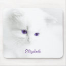 Search for eye cat electronics Pet