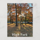 Search for fall tree vertical postcards Orange