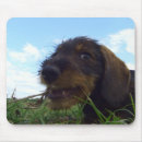 Search for wiener dogs mouse mats Animals