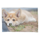 Search for pembroke welsh corgi pillowcases Queen elizabeth's