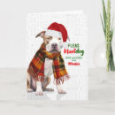 Search for pit bull christmas cards Dogs