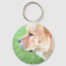 Search for subjects key rings Dog