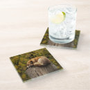 Search for barking barware Animal