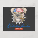 Search for red state postcards Stars and stripes