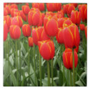 Search for tulip tiles Blooms