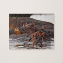 Search for hippopotamus puzzles Tanzania