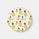 Search for pineapples magnets Abstract