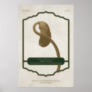 Search for maturity posters Vintage
