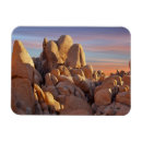 Search for arid magnets Outdoors