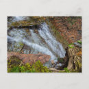 Search for buttermilk postcards Falls
