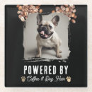 Search for owner coasters Pet photo