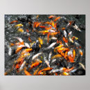 Search for frenzy posters Home