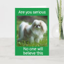 Search for boss dog cards Co worker