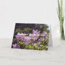 Search for butterfly tree cards Flowers