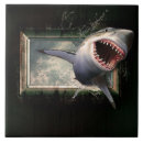 Search for shark tiles Fish