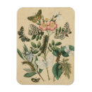 Search for studio magnets Flowers