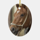 Search for arabian horse christmas tree decorations Equestrian