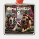 Search for dog costume christmas tree decorations Funny