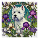 Search for westie art Terrier