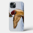 Search for cavities electronics Avifauna