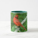 Search for male cardinal mugs Wildlife