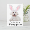 Search for happy bunny easter cards Dog