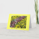 Search for your friendship is a blessing cards Inspirational