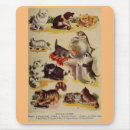 Search for small breed mouse mats Cute