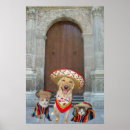Search for stray posters Humour
