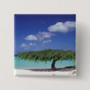 Search for aruba badges Vacation