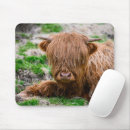 Search for highland cow mouse mats Animal