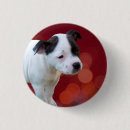 Search for black bull badges Dog