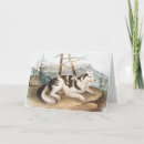 Search for hare cards Wildlife