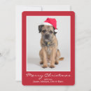 Search for border terrier christmas cards Canine
