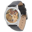 Search for corgi watches Cute