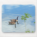 Search for geese mouse mats Lake