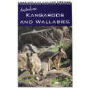 Search for wallaby Joey