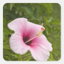 Search for paradise island stickers Flower