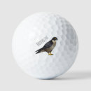 Search for bird golf balls Bird of prey