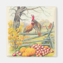Search for fall pumpkin magnets Farm