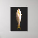Search for whole art Animals