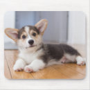 Search for welsh corgi mouse mats Cute
