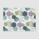 Search for succulent tissue paper House plant