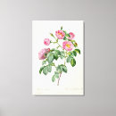 Search for redoute canvas prints Pierre