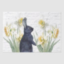 Search for yellow daffodil tissue paper Easter